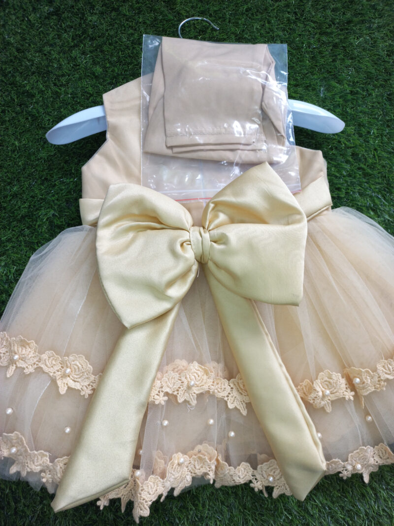 Fancy net frock with silk back bow - Image 6