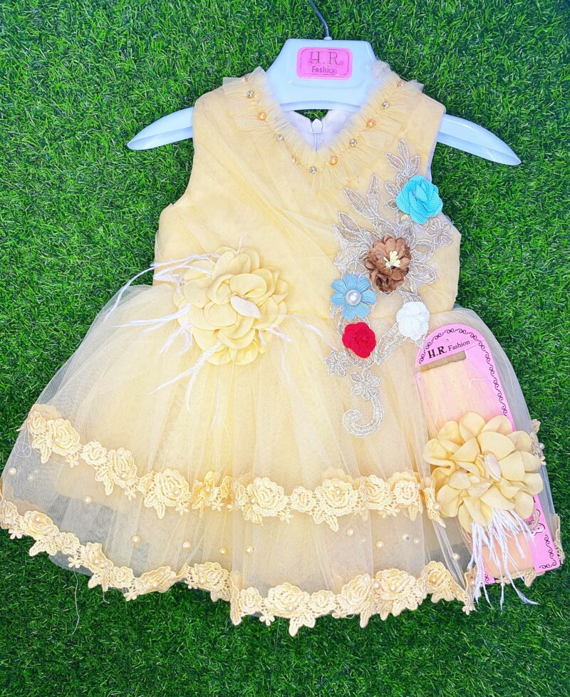 Fancy net frock with silk back bow